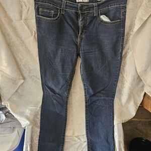 Daytrip jeans size 32 womens Lynx high rise skinny.